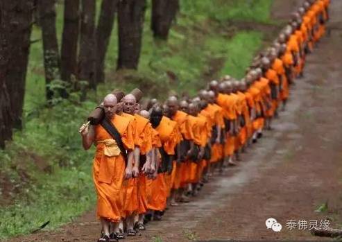 泰国的“龙婆”都是高僧吗？