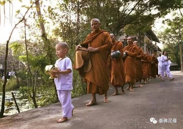 对于泰国佛教文化，你了解多少