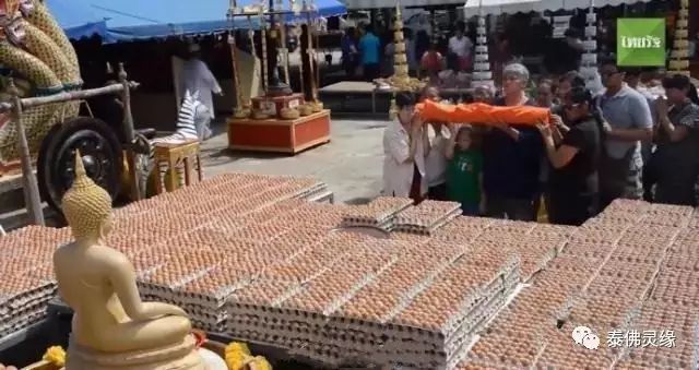真实事件！泰国佛祖让生意起死回生！老板买50,000枚鸡蛋还愿！